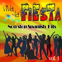 Guateque Latin Band - Viva la Fiesta Vol.1