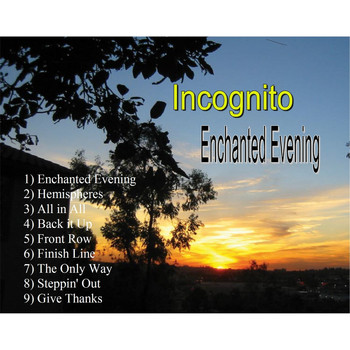Incognito - Enchanted Evening