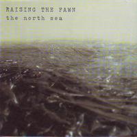 Raising the Fawn - The North Sea
