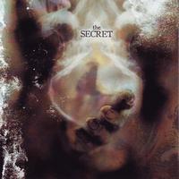 Secret - Luce