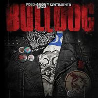 Bulldog - Pogo, Punk y Sentimiento