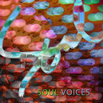 Various Artists - Soul Voices
