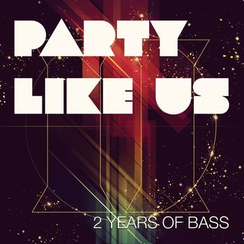 Various Artists - Party Like Us Records 2 Year Anniversary Compilation