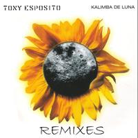 Tony Esposito - Kalimba de Luna - Remixes