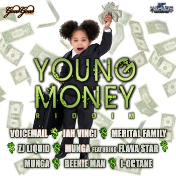 Various Artists - Young Money Riddim