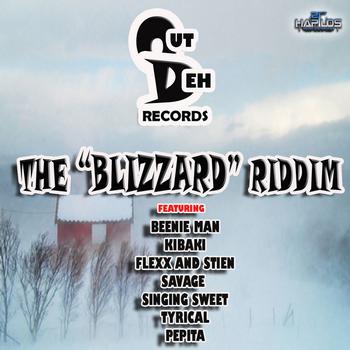 Various Artists - Blizzard Riddim