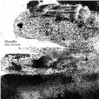 Mamiffer - Mare Decendrii