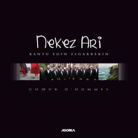 Nekez ari - Kantu Egin Elgarrekin