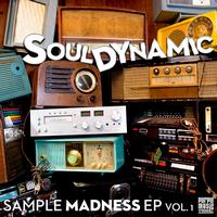Souldynamic - Sample Madness EP, Vol. 1