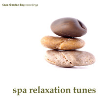 Various Artists - SPA Relaxation Tunes
