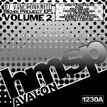 Various Artists - DJ VanCronkhite's Remix Project EP Vol. 2