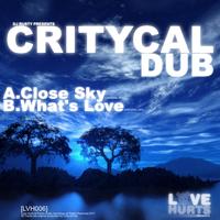 Critycal Dub - Close Sky / Whats Love