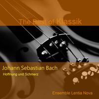 Wahlmüller Michael - Johann Sebastian Bach: Hoffnung und Schmerz - Geist und Seele sind verwirret BWV 35