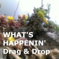 Drag & Drop - Whats Happenin'
