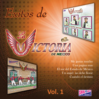 La Victoria de Mexico - Exitos de La Victoria de Mexico: Volume 1