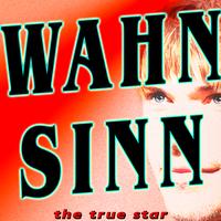 The True Star - Wahnsinn (Finger & Kadel Wolfgang Petry Tribute)