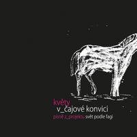 Kvety - V čajové konvici / In a Tea Pot