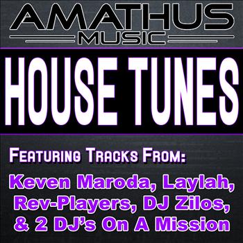 Various Artists - House Tunes (The Best Underground House Music Anthems)