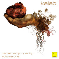 Kalabi - Reclaimed Property Volume 1