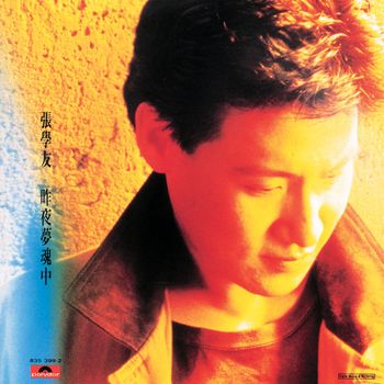 張學友 - 昨夜夢魂中