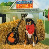 David Grisman - Dawg Grass