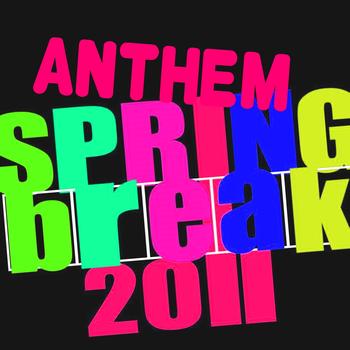 Various Artists - Springbreak Anthem