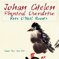 Johan Gielen - Physical Overdrive