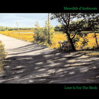 Meredith d'Ambrosio - Love Is For The Birds