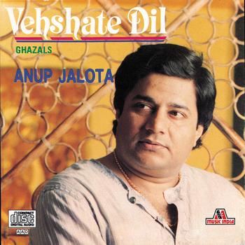 Anup Jalota - Vehshate Dil