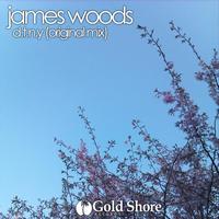 James Woods - D.T.N.Y