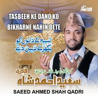 Saeed Ahmed Shah Qadri - Tasbeeh Ke Dano Ko Bikharne Nahin Dete