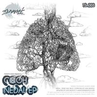 Cooh - Nedal EP