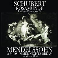 Concertgebouw Orchestra of Amsterdam and Eduard Van Beinum - Schubert: Rosamunde Incidental music - Mendelssohn: A Midsummer Night's Dream Incidental Music (Remastered)