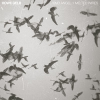 Howe Gelb - 'Sno Angel & Melted Wires split 7"