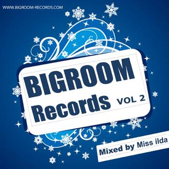 Various Artists - Big Room In The House Vol 2