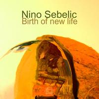 Nino Sebelic - Birth of New Life