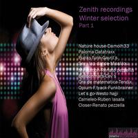 Damolh33 - Zenith Recordings Winter Selection Part 1