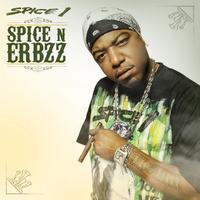 SPICE 1 - Spice N Erbzz