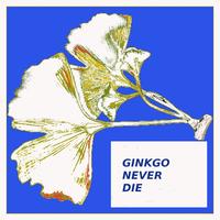 In Hoa - Gingko Never Die