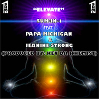 Sum-in-1 - Elevate