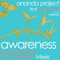 Ananda Project - Awareness