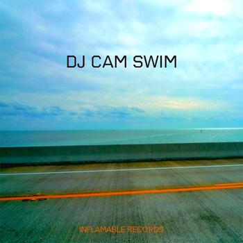 Dj Cam - Swim