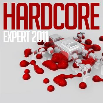 Various Artists - Hardcore Expert 2011
