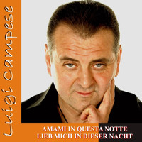 Luigi Campese - Amami in questa notte