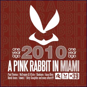 Various Artists - A Pink Rabbit In Miami (2010 One Year Ago)