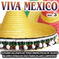 La Banda Del Mariachi - Viva Mexico Vol.3