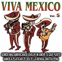 La Banda Del Mariachi - Viva Mexico Vol.5