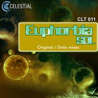 Euphorbia - SOL