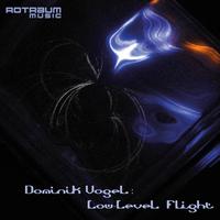 Dominik Vogel - Low-level Flight