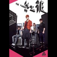 Red Flower - SENSE OF SECURITY